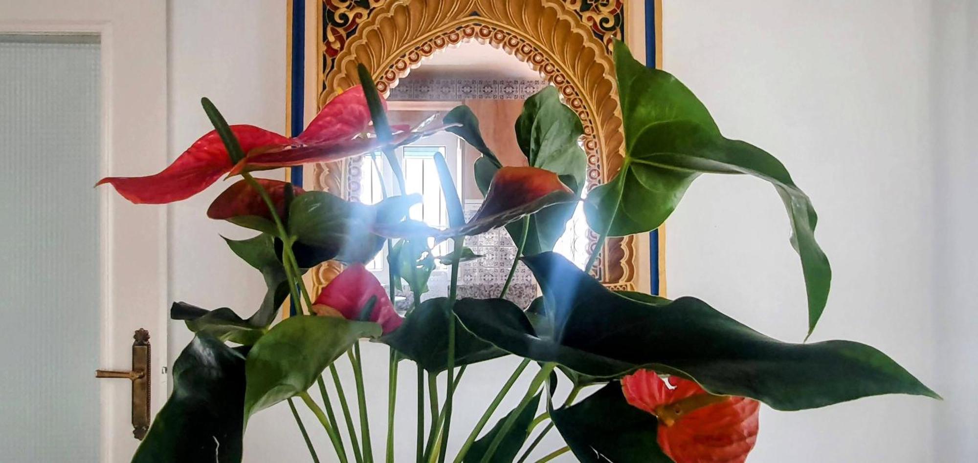 La Casilla Villa Cajar ภายนอก รูปภาพ